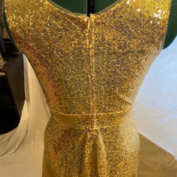 Gold Sequin V-Neck Dress - Picture 5 of 5